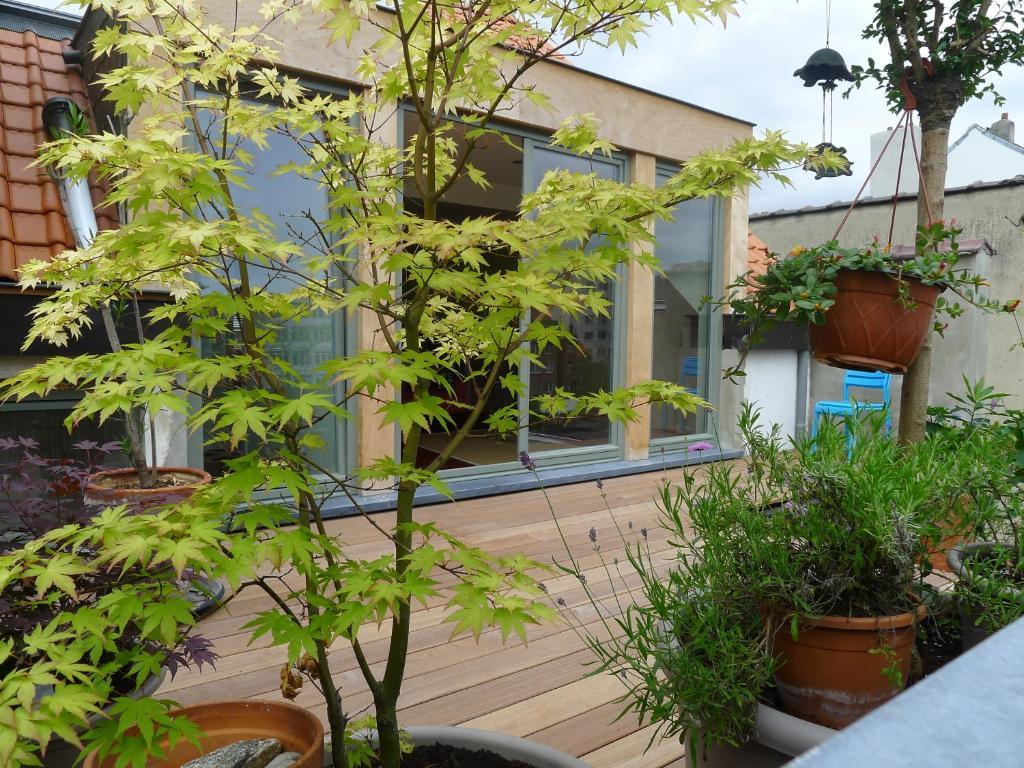 Schaerbeek B&B La Chambre De Plume מראה חיצוני תמונה